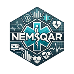 nemsqar website